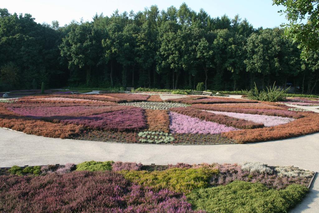 Ferienwohnung Lueneburger Heide Schneverdingen Zewnętrze zdjęcie